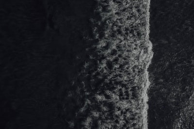 白天水体旁绿树鸟瞰图